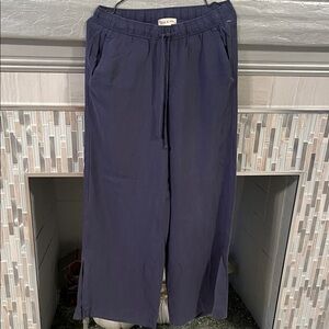 Cloth & Stone Men's Deep Blue Joggers
